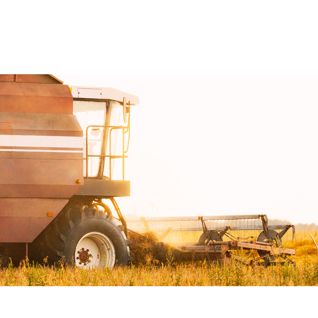 A short History of Culinary Fats in the British Isles