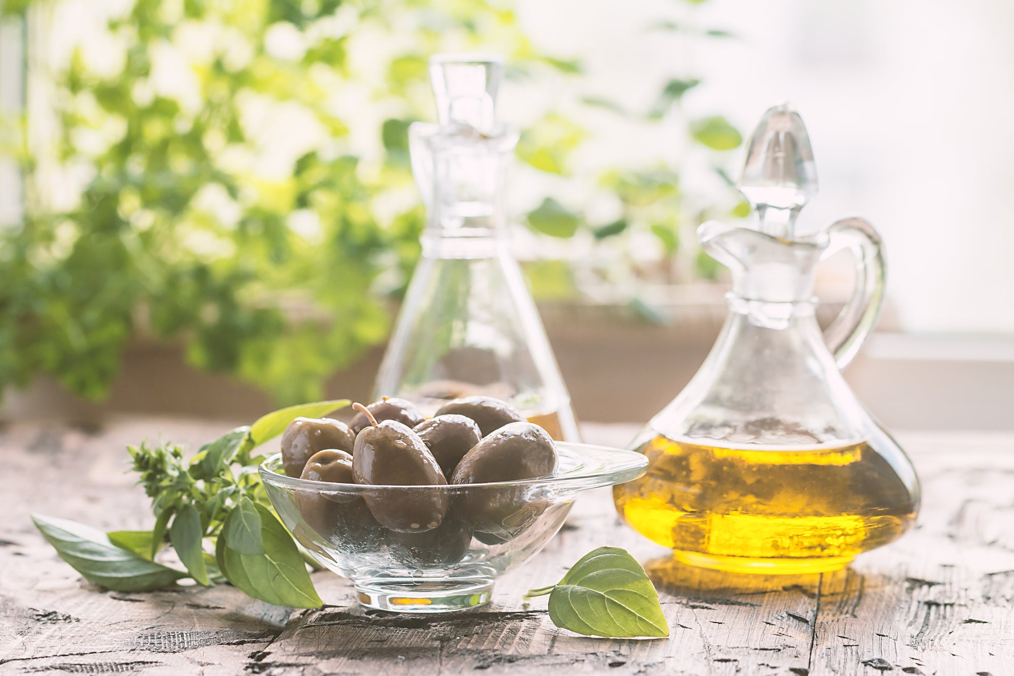4 Interesting Ways Olive Oil Can Help Build Muscle - Opus Live Well