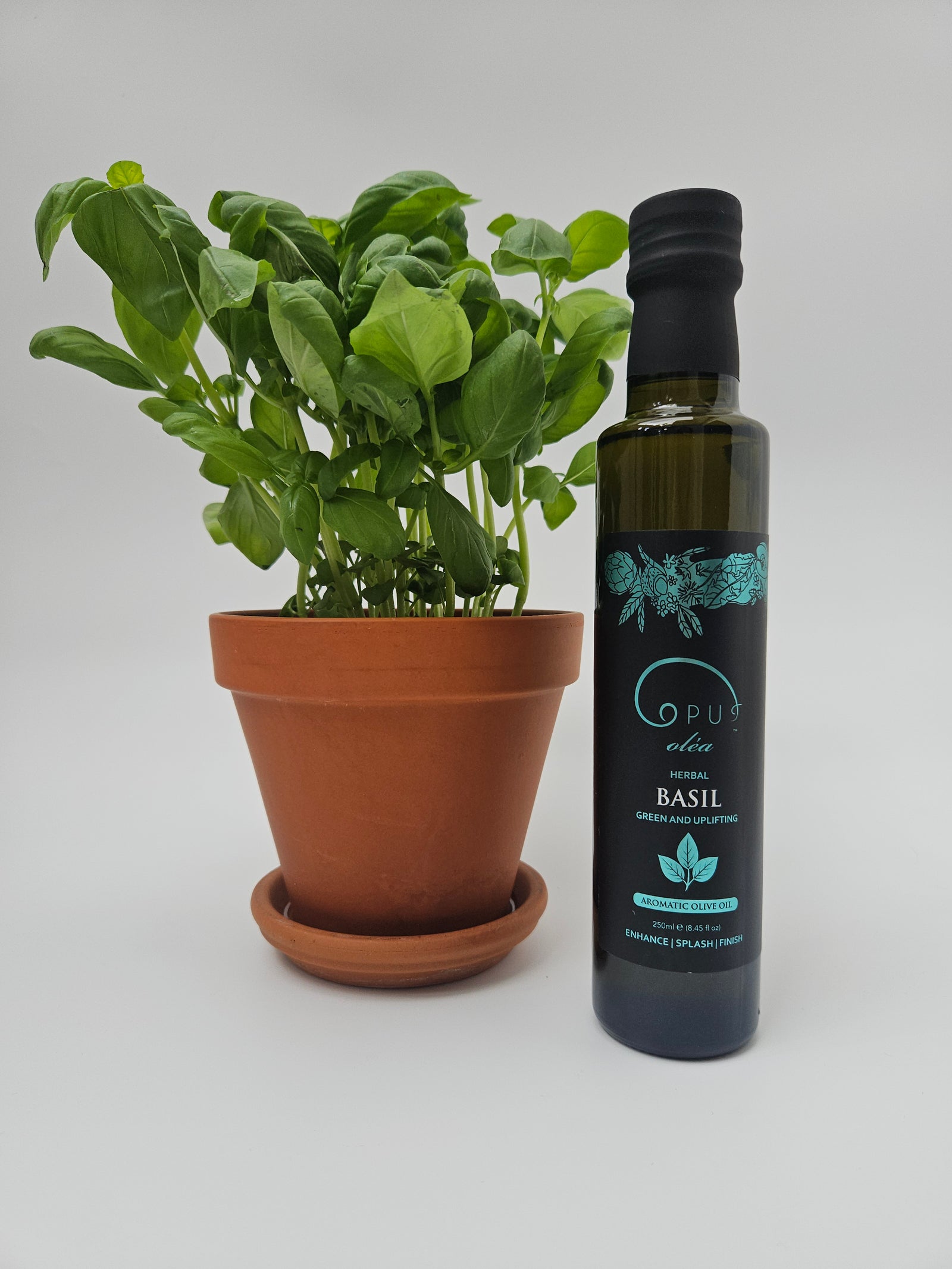 BASIL olive oil 250ml